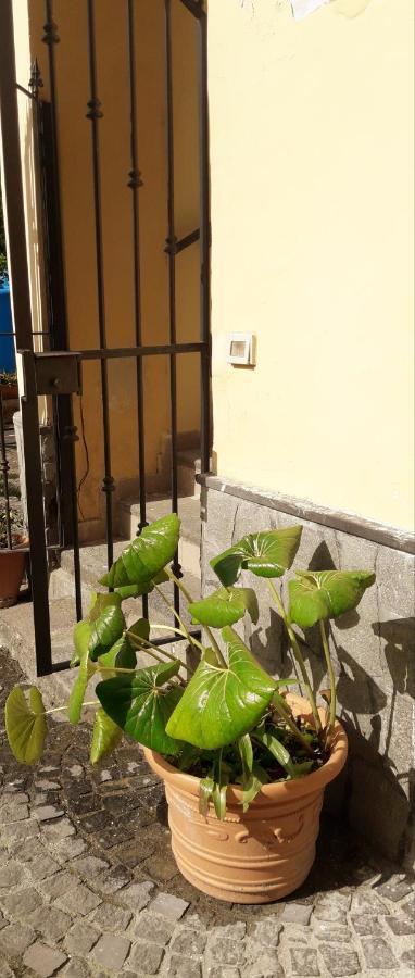Pompei Vesevus Apartament Boscotrecase Exterior photo
